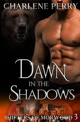 Dawn in the Shadows by Perry, Charlene