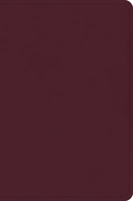 CSB Large Print Compact Reference Bible, Cranberry Leathertouch by Csb Bibles by Holman