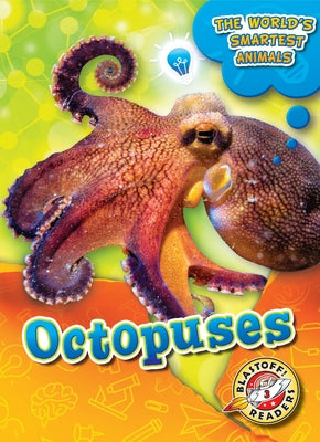 Octopuses by Mattern, Joanne