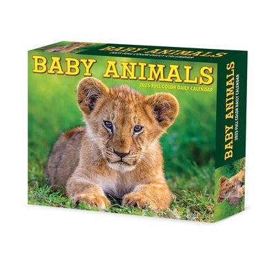 Baby Animals 2025 6.2 X 5.4 Box Calendar by Willow Creek Press