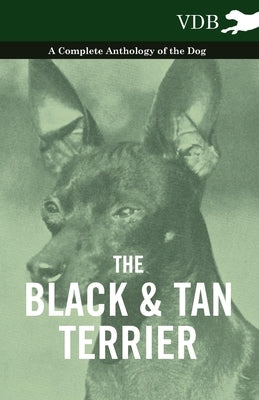 The Black and Tan Terrier - A Complete Anthology of the Dog - by Various