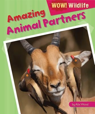 Amazing Animal Partners by Wood, Alix