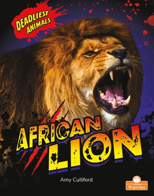 African Lion by Culliford, Amy