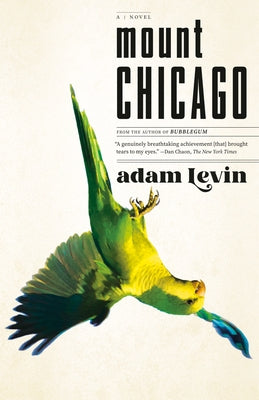 Mount Chicago by Levin, Adam