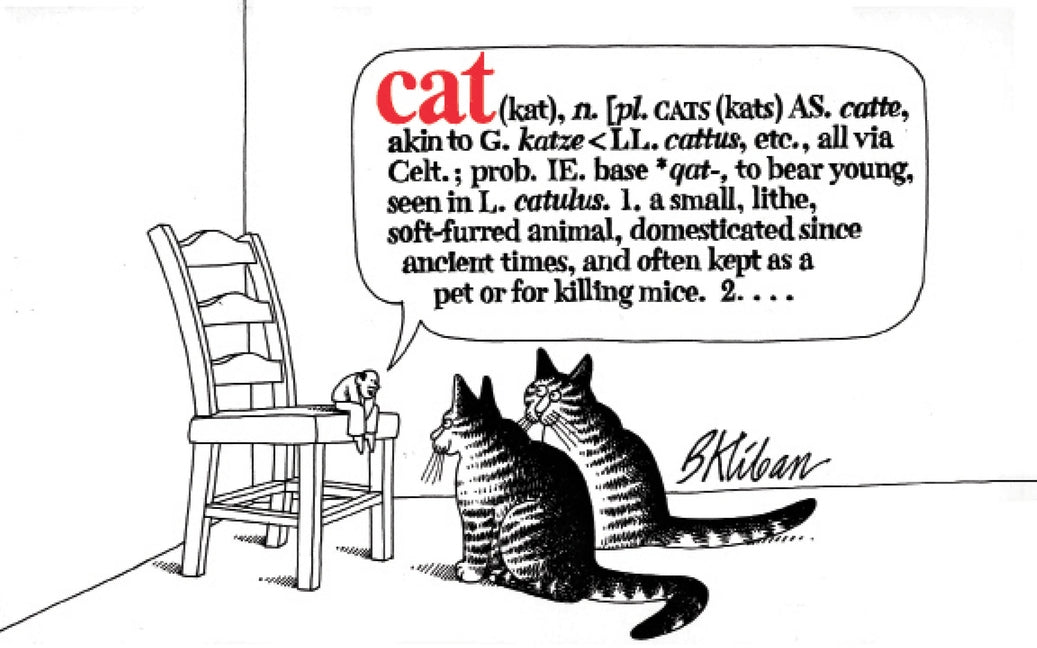 Cat by Kliban, B.