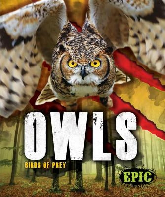 Owls by Sommer, Nathan