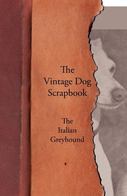 The Vintage Dog Scrapbook - The Italian Greyhound by Various