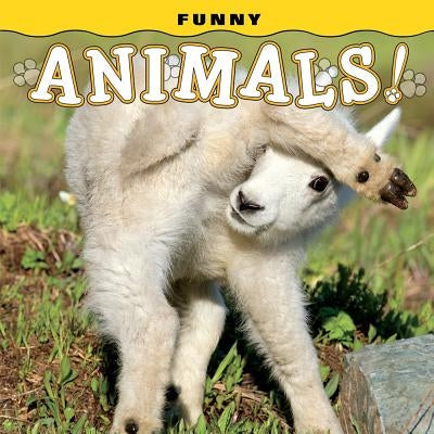 Funny Animals! by Lehmann, Steph