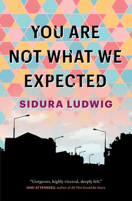 You Are Not What We Expected by Ludwig, Sidura