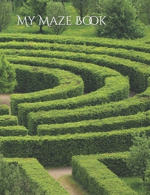 My Maze Book by Banerjee, Kadambini