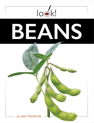 Beans by Tischler, Joe