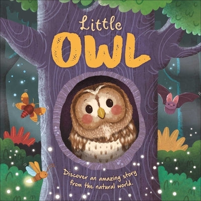 Nature Stories: Little Owl-Discover an Amazing Story from the Natural World: Padded Board Book by Igloobooks