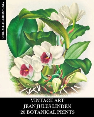 Vintage Art: Jean Jules Linden: 20 Botanical Prints: Orchid Ephemera for Framing, Home Decor, Collage and Decoupage by Press, Vintage Revisited