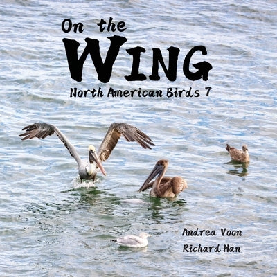 On the Wing - North American Birds 7 by Voon, Andrea