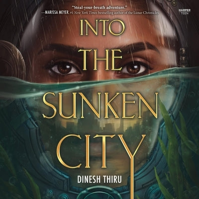 Into the Sunken City by Thiru, Dinesh