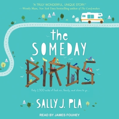 The Someday Birds by Fouhey, James