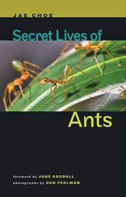 Secret Lives of Ants by Choe, Jae