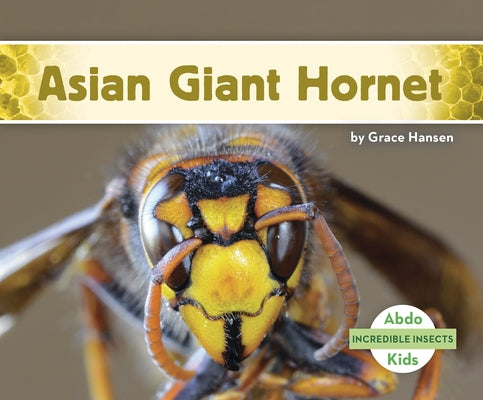 Asian Giant Hornet by Hansen, Grace