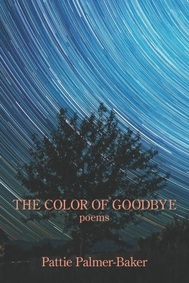 The Color of Goodbye by Palmer-Baker, Pattie