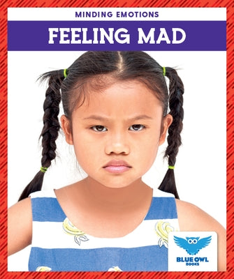 Feeling Mad by Bullis Amber Mlis