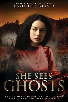 She Sees Ghosts - The Story of a Woman Who Rescues Lost Souls: Part of the Adirondack Spirit Series by Fitz-Gerald, David