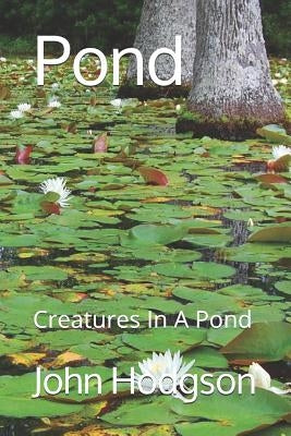 Pond: Creatures In a Pond by Hodgson, John