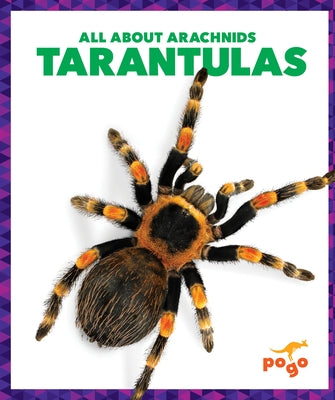 Tarantulas by Becker, Becca