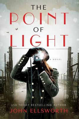 The Point of Light by Ellsworth, John