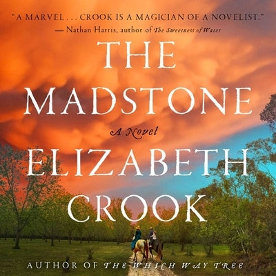 The Madstone by Crook, Elizabeth