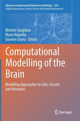 Computational Modelling of the Brain: Modelling Approaches to Cells, Circuits and Networks by Giugliano, Michele