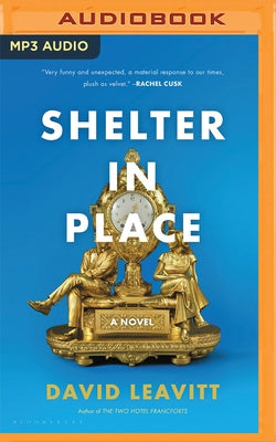 Shelter in Place by Leavitt, David