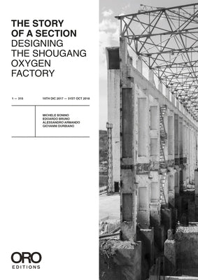 Designing Shougang, or the Story of a Section by Bonino, Michele