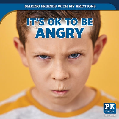 It's Ok to Be Angry by Emminizer, Theresa