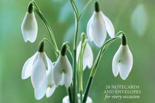 Card Box of 20 Notecards and Envelopes: Snowdrop: A Delightful Pack of 20 High-Quality Flower Gift Cards and Decorative Envelopes by Peony Press