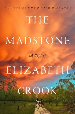 The Madstone by Crook, Elizabeth