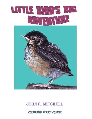 Little Bird's Big Adventure by Mitchell, John Roy