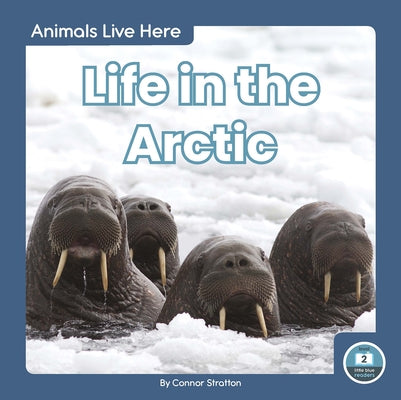 Life in the Arctic by Stratton, Connor