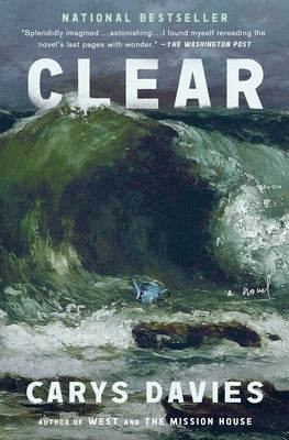 Clear by Davies, Carys