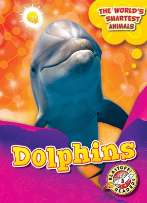 Dolphins by Mattern, Joanne