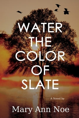 Water the Color of Slate by Noe, Mary Ann