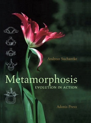 Metamorphosis: Evolution in Action by Suchantke, Andreas