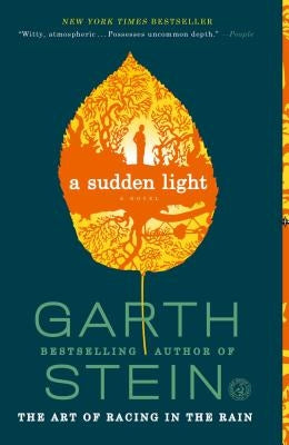 A Sudden Light by Stein, Garth