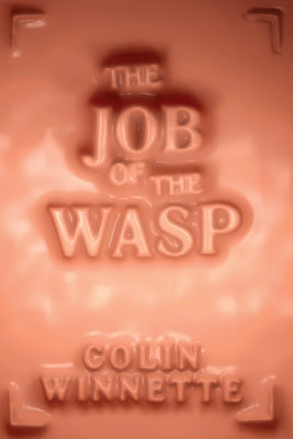 The Job of the Wasp by Winnette, Colin