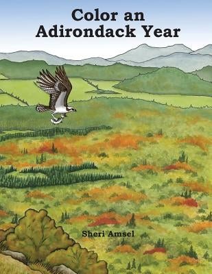 Color an Adirondack Year by Amsel, Sheri