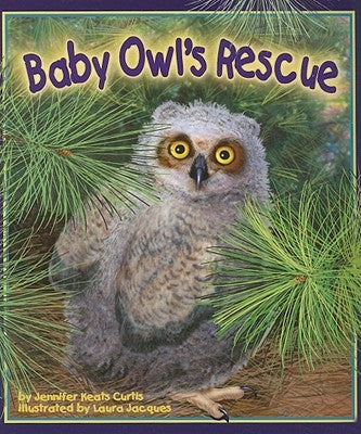 Baby Owl's Rescue by Curtis, Jennifer Keats