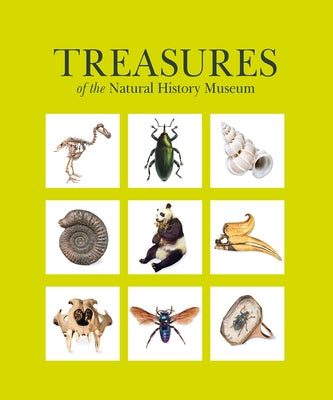 Treasures of the Natural History Museum: Pocket Edition by Paterson, Vicky