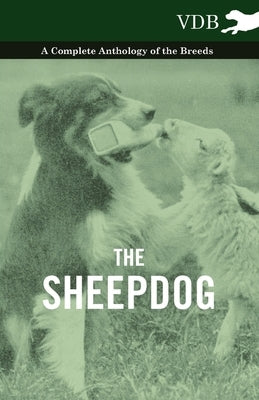 The Sheepdog - A Complete Anthology of the Breeds by Various