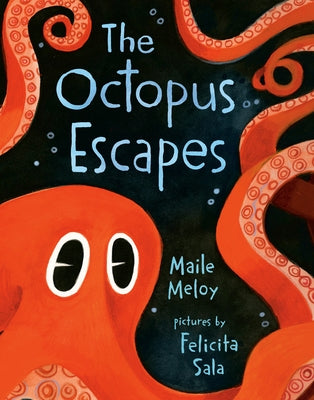 The Octopus Escapes by Meloy, Maile