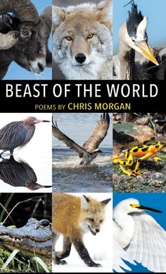 Beast of the World by Morgan, Chris