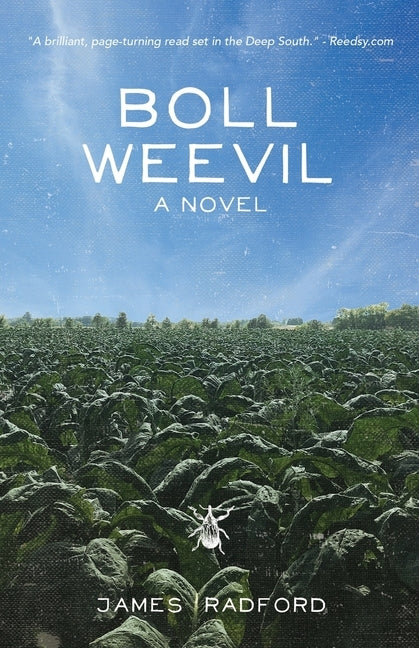 Boll Weevil by Radford, James